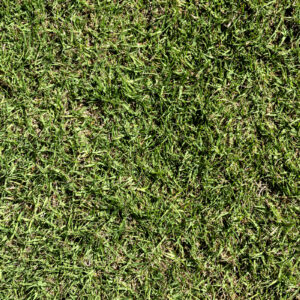 Bermuda Latitude 36