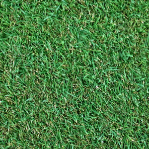 Agrostis producidos bajo demanda