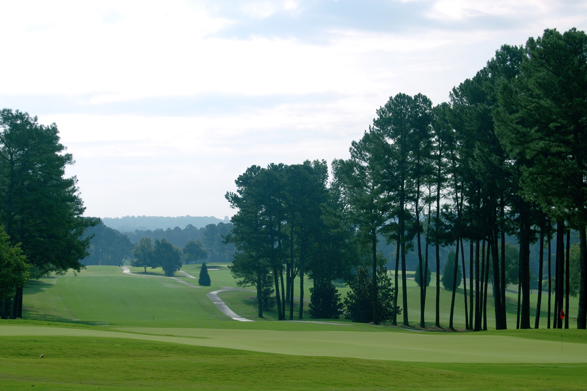 Zoysia Geo - Imagen 2