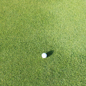Paspalum PlatinumTE